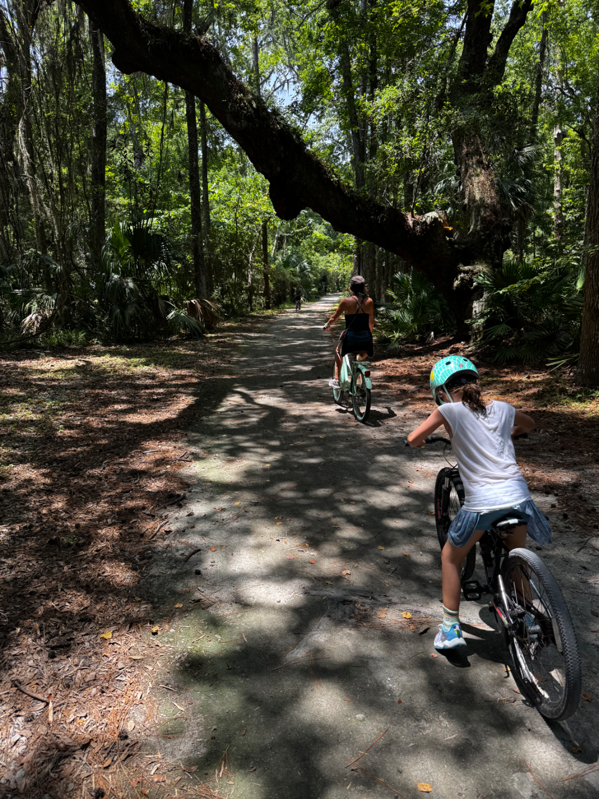 Biking around Jekyll Island (2 of 3)